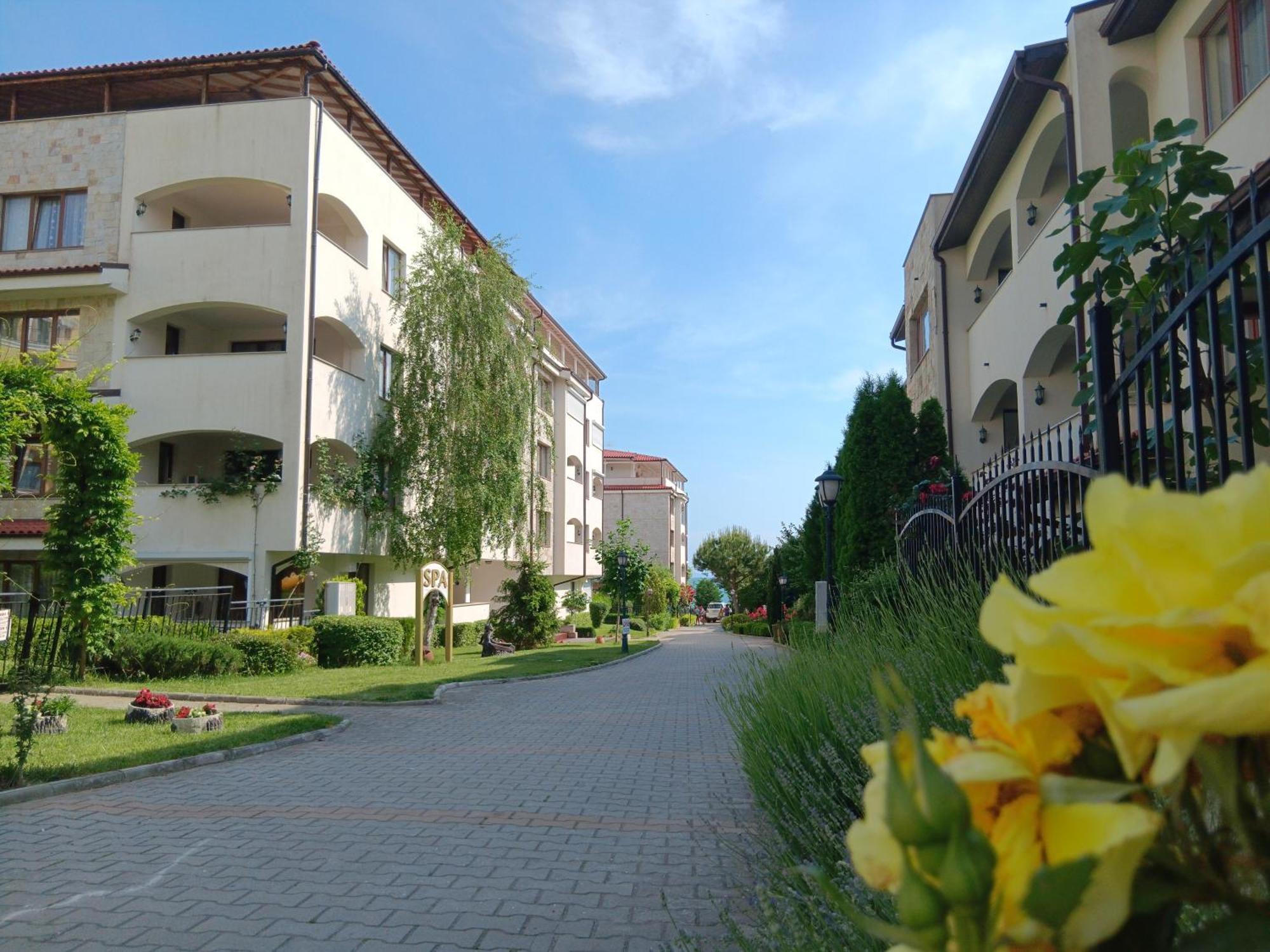 Royal Palm Studio, * Święty Włas